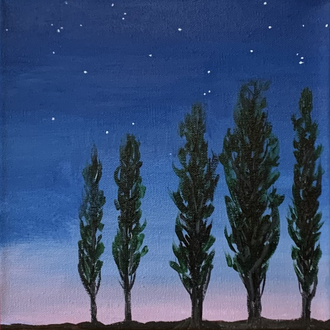 2024-53 Night Poplars