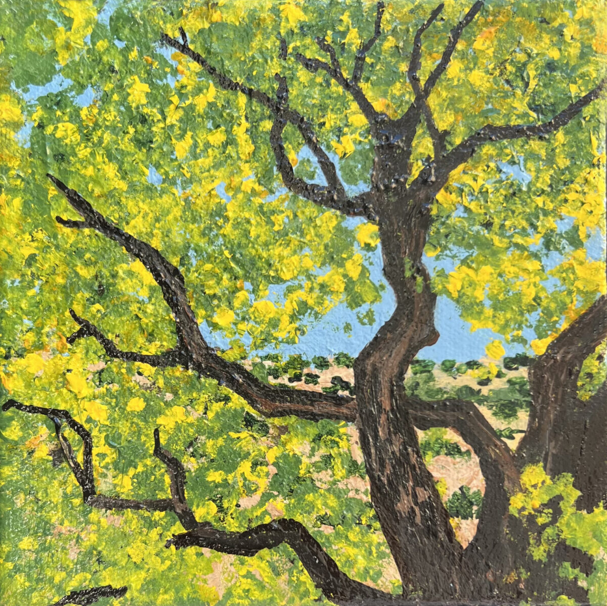 2025-19 Bijoux XV (cottonwood twists)