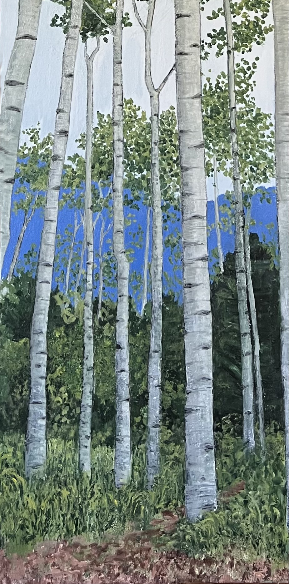 2026-06 Aspen High Green Trunks