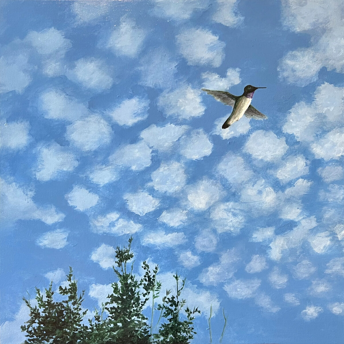2026-28 Hummingbird Morning